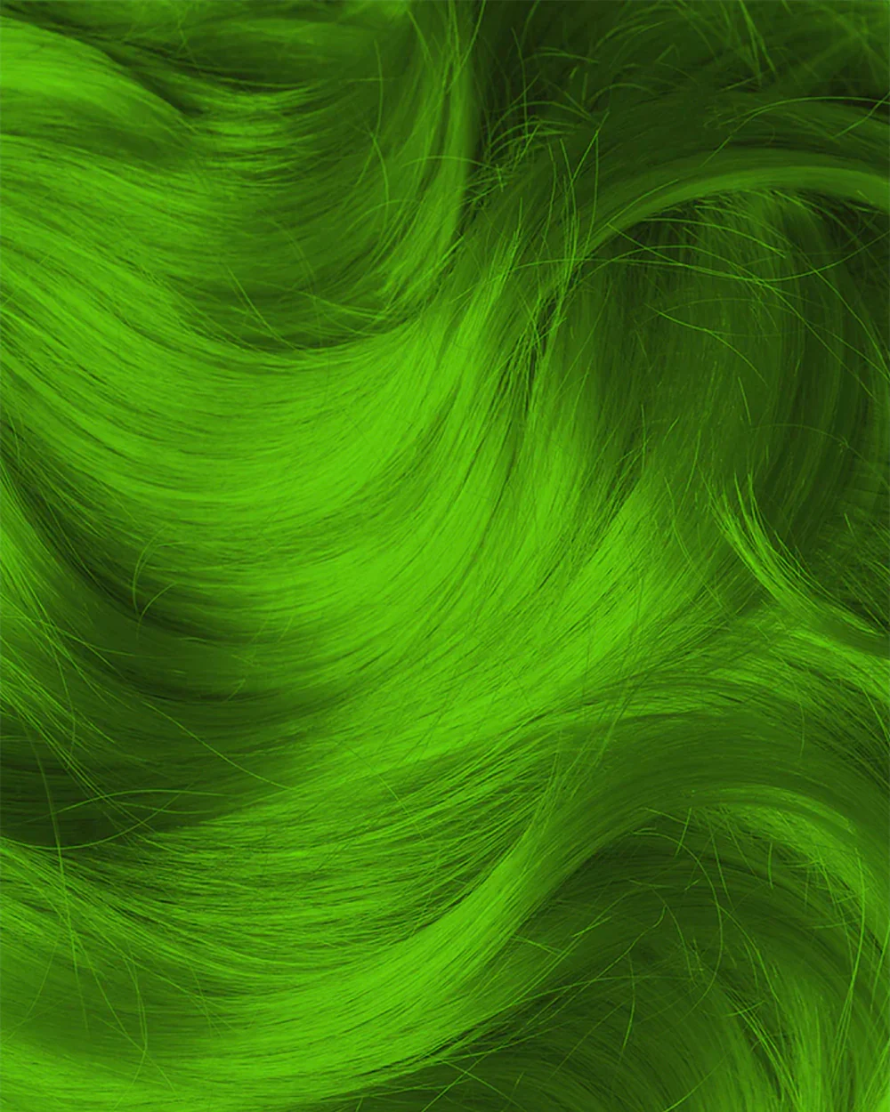 Electric Lizard Amplified - Image 2
