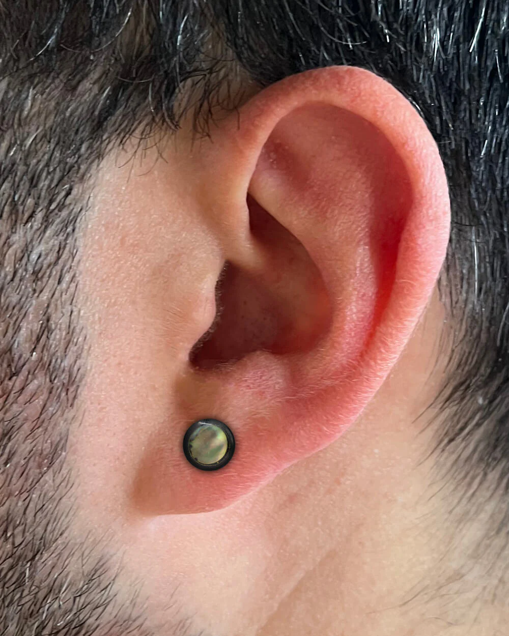 Double Sided Inlaid Abalone Fake Plugs - Image 2