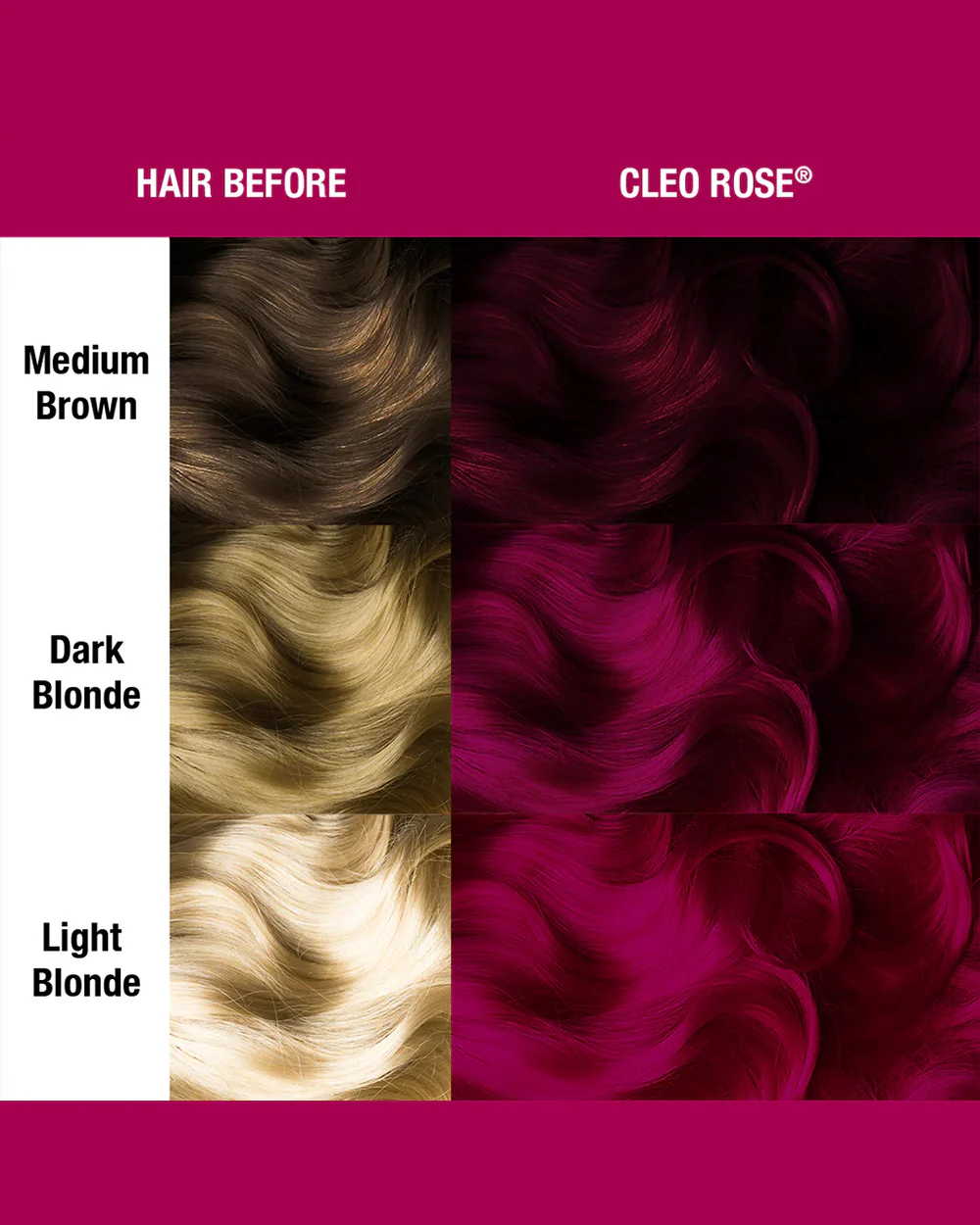 Cleo Rose Cream - Image 3