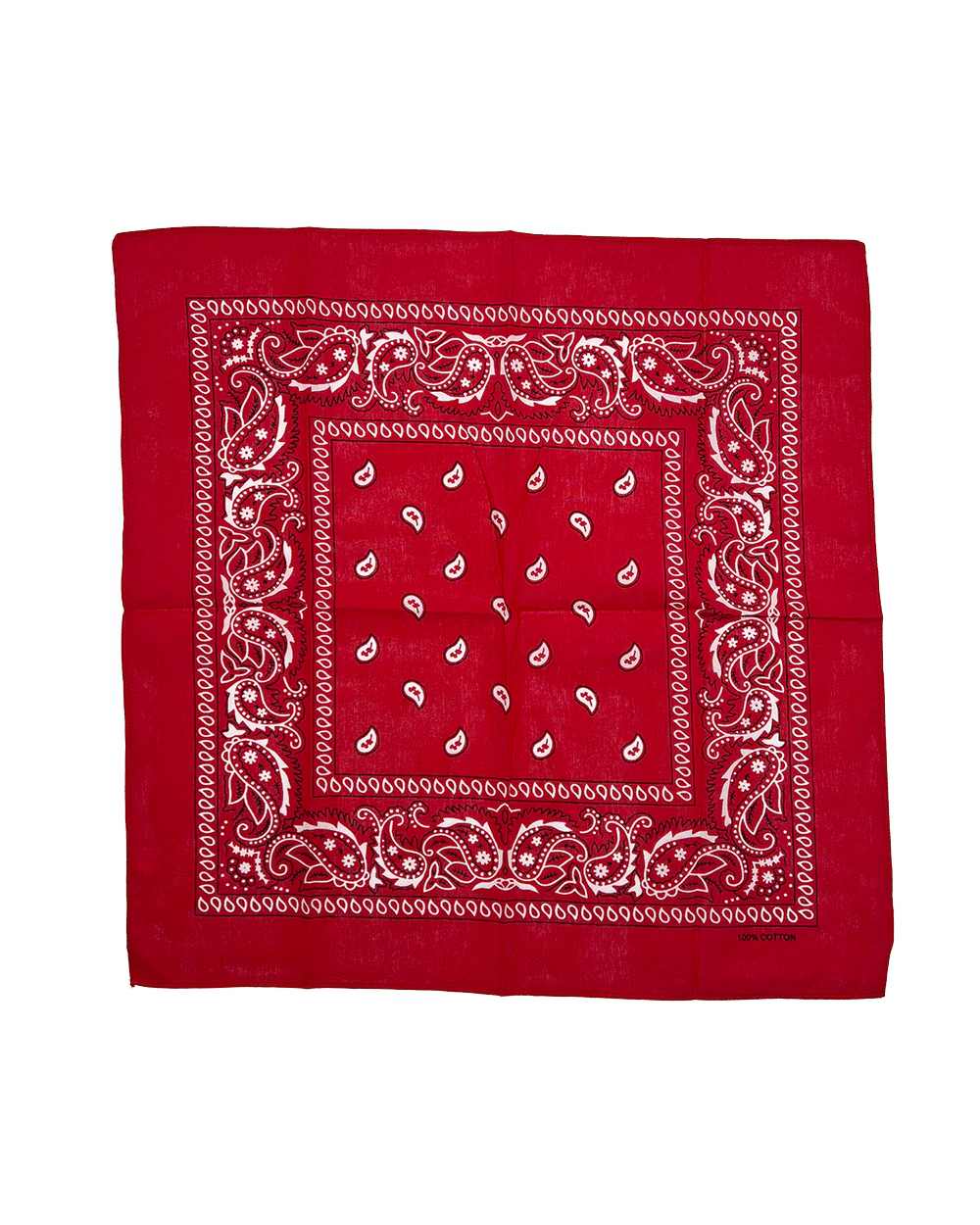 Red Paisley Bandana - Image 2